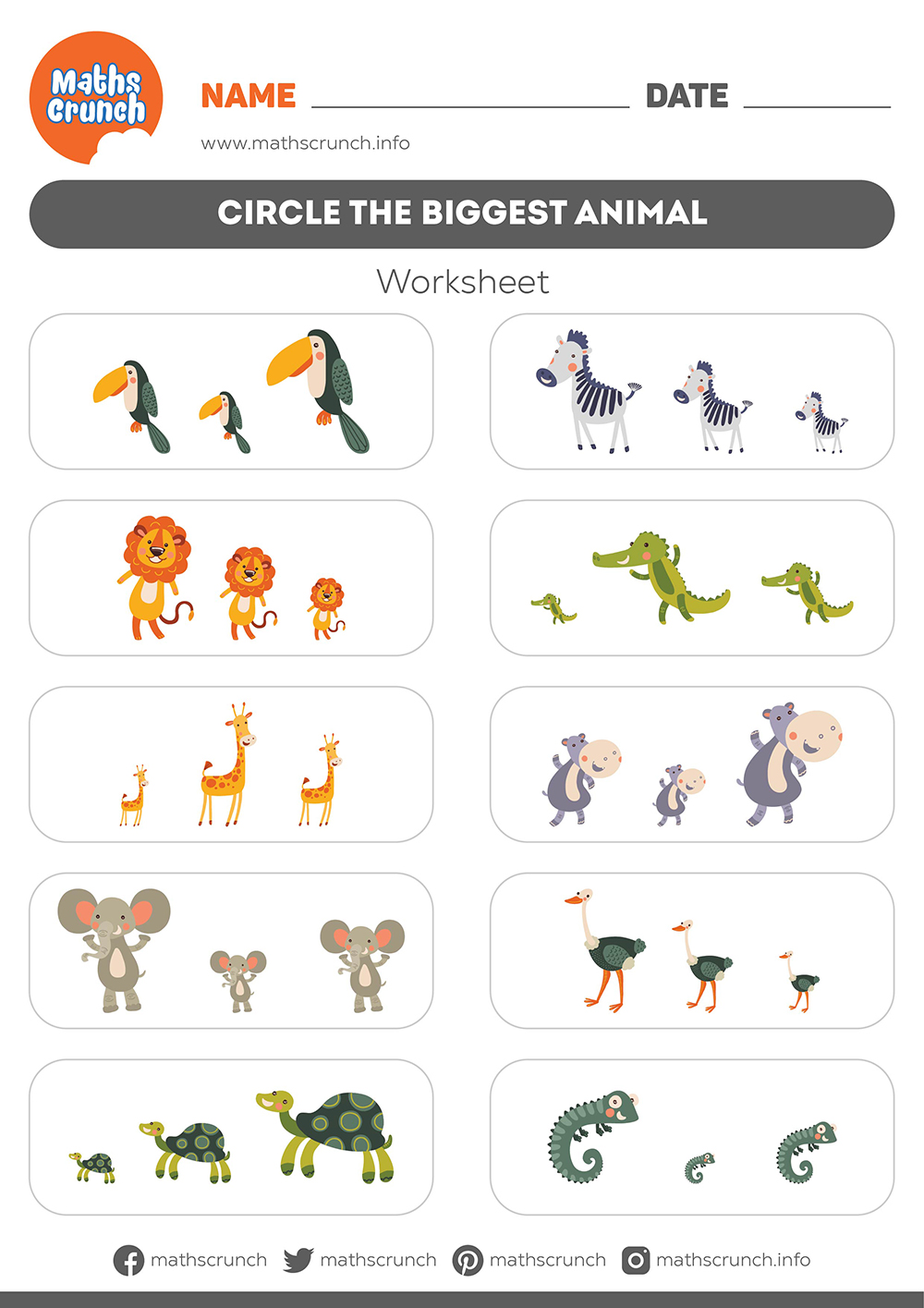 Circle the Biggest Animal - Worksheet for kids | Maths Crunch